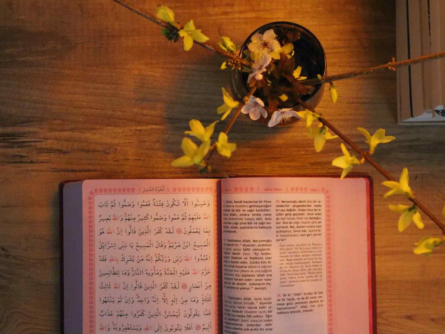 Reading Islamic Book